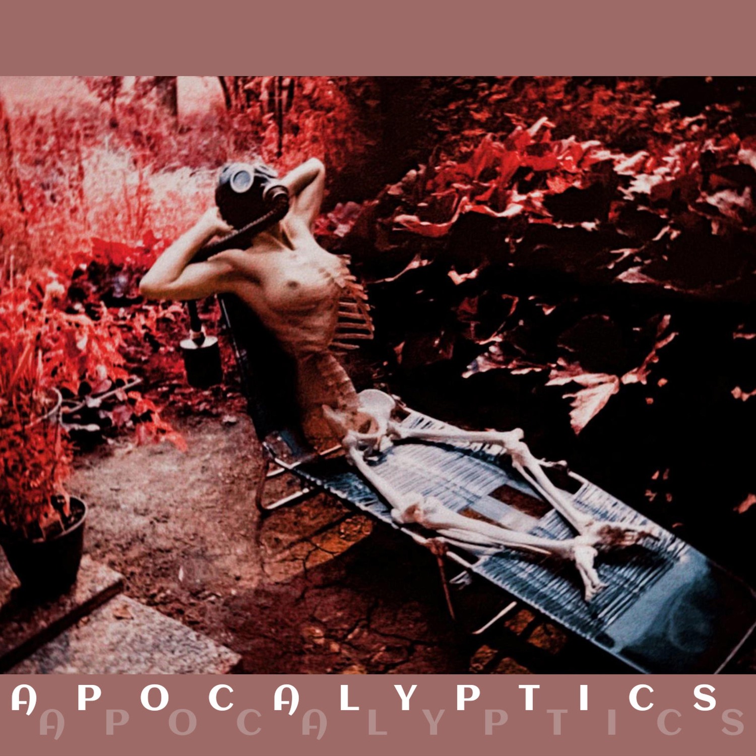 Apocalyptics album cover